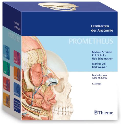 prometheus anatomie|prometheus lernkarten der anatomie.